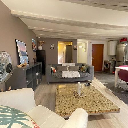 Le Plein Air D'Annecy, Proche Gare Apartment Exterior photo